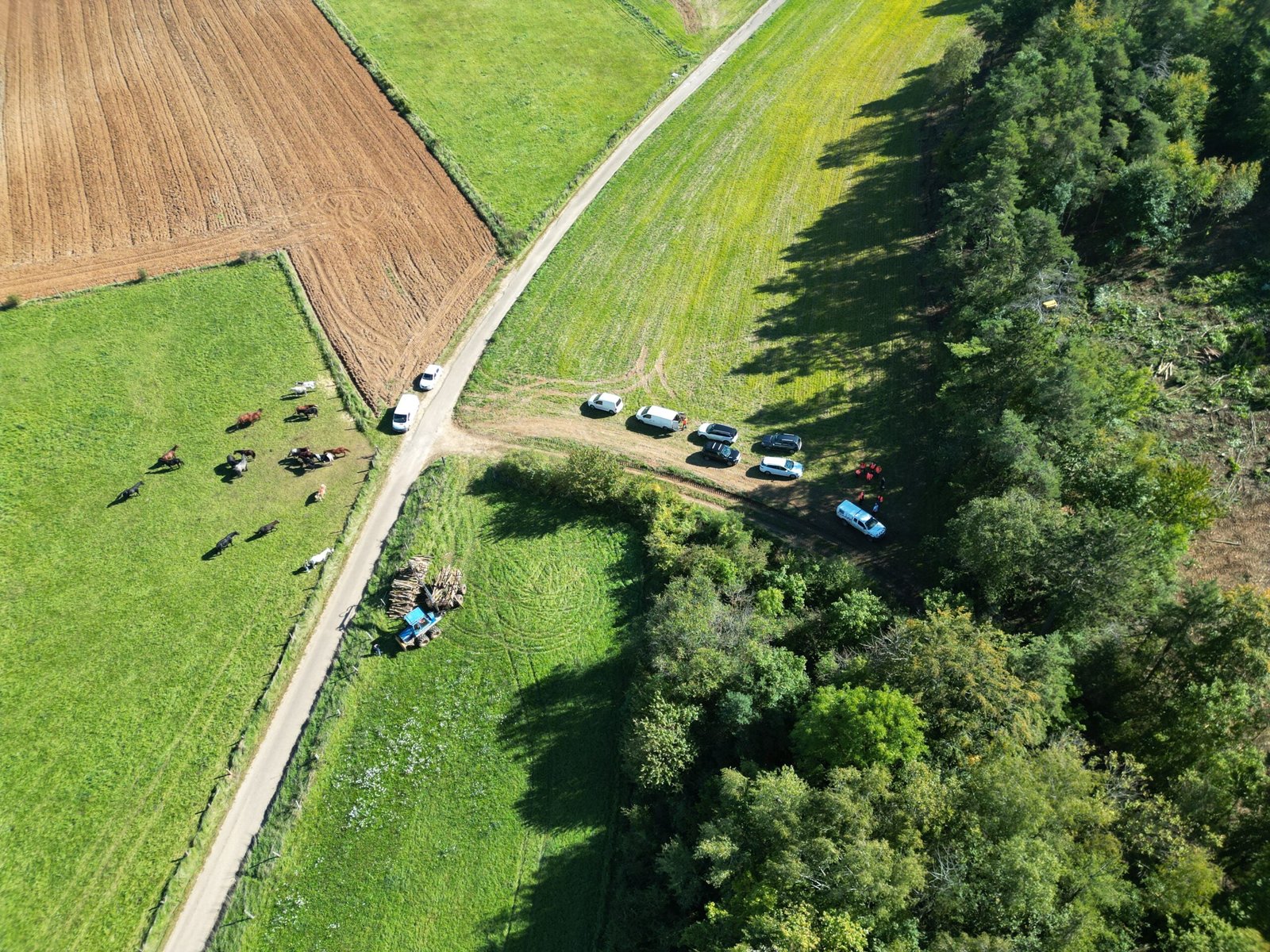 Engagement éco-responsable arbo-environnement