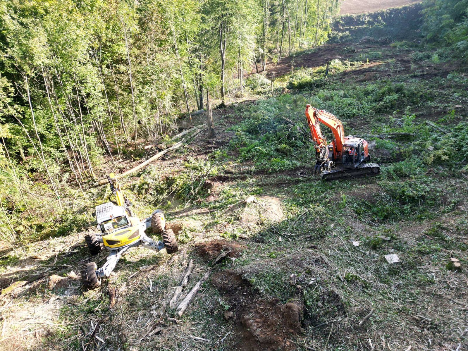 Abattage et travaux complexes arbo-environnement