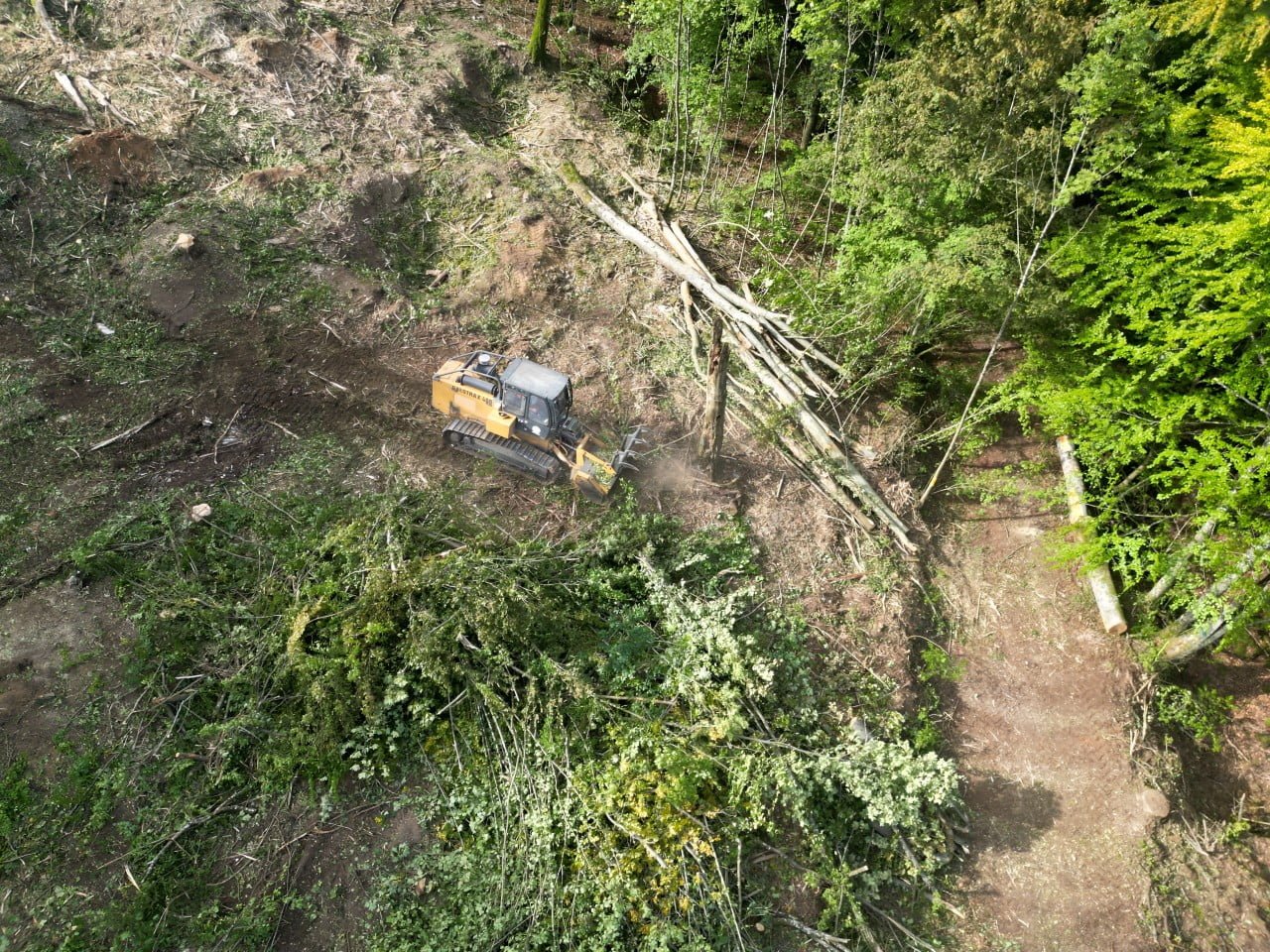 Engagement éco-responsable arbo-environnement