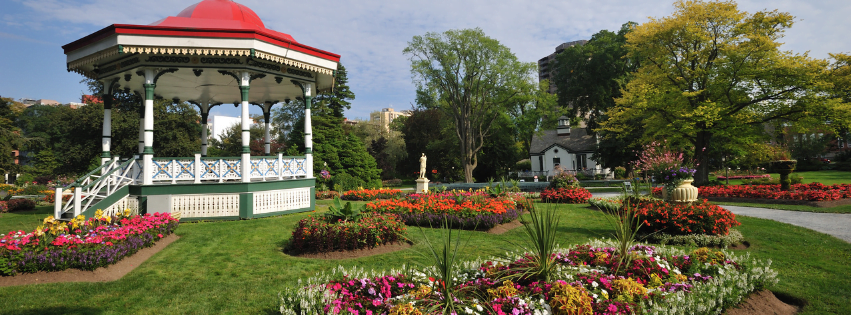 engagement eco-responsable arbo-environnement