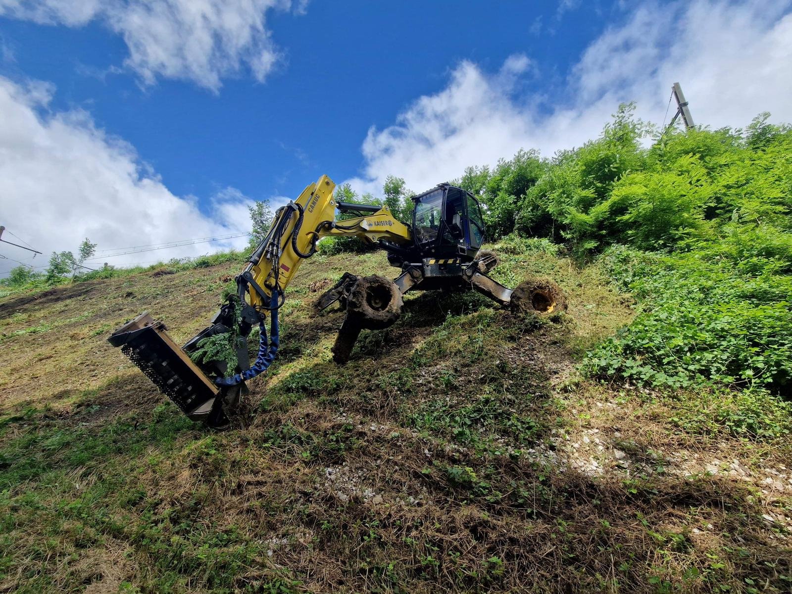 qui sommes nous arbo-environnement