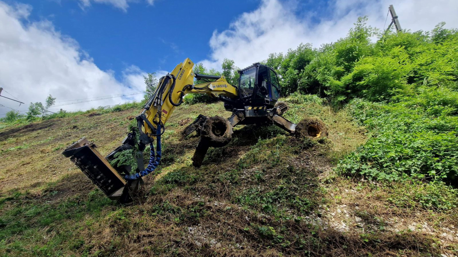 arbo-environnement abattage et travaux complexes Abattage et travaux complexes arbo-environnement