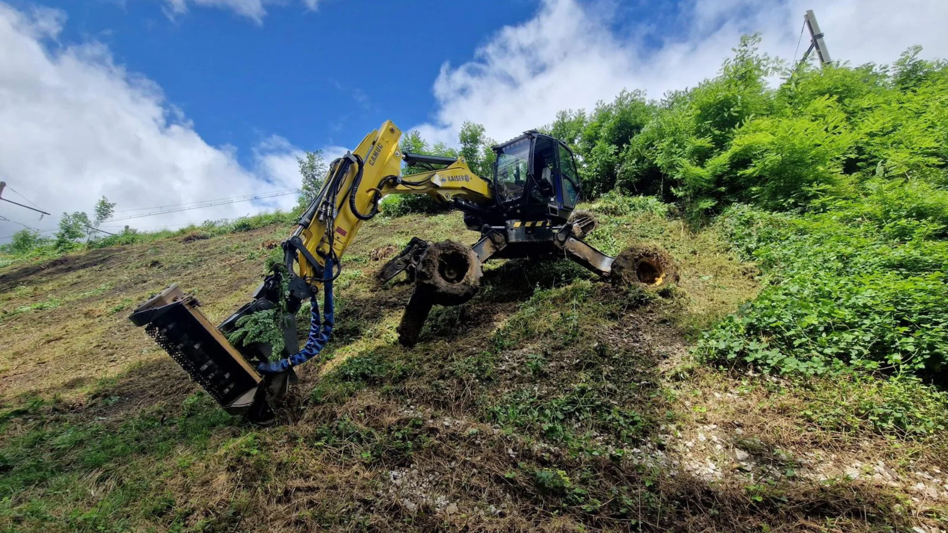 arbo-environnement abattage et travaux complexes Abattage et travaux complexes arbo-environnement