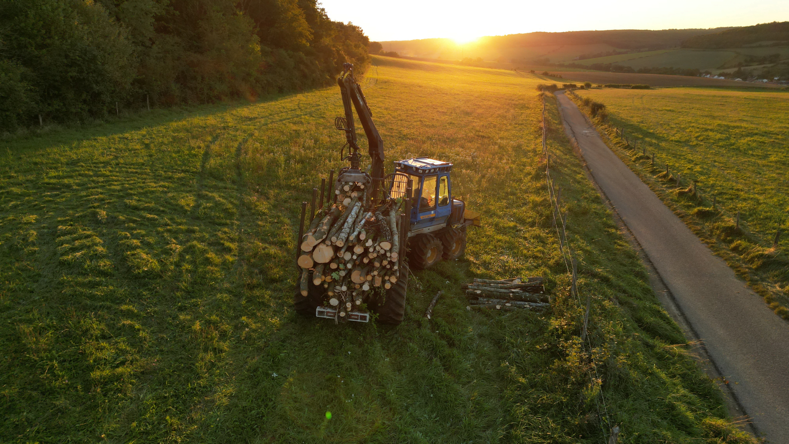 arbo-environnement abattages et travaux complexes Abattages et travaux complexes arbo-environnement